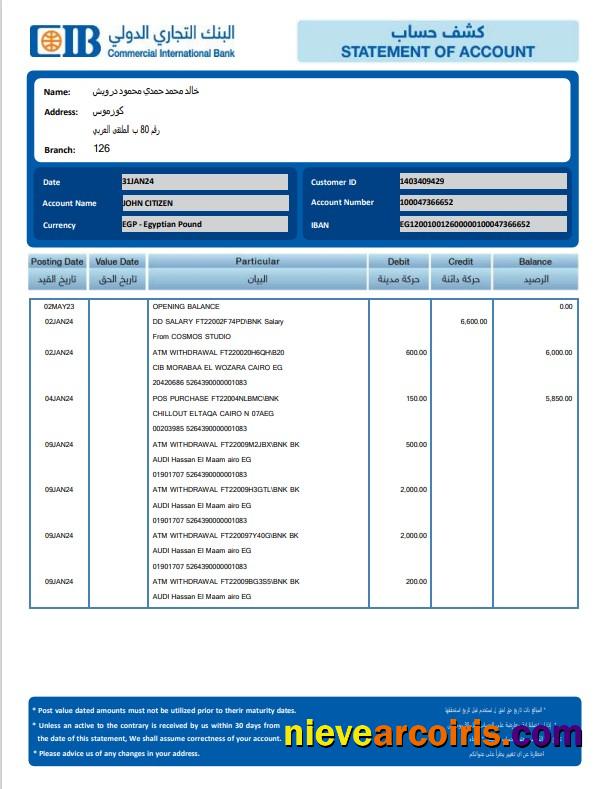 EGYPT CIB bank statement, Word and PDF format